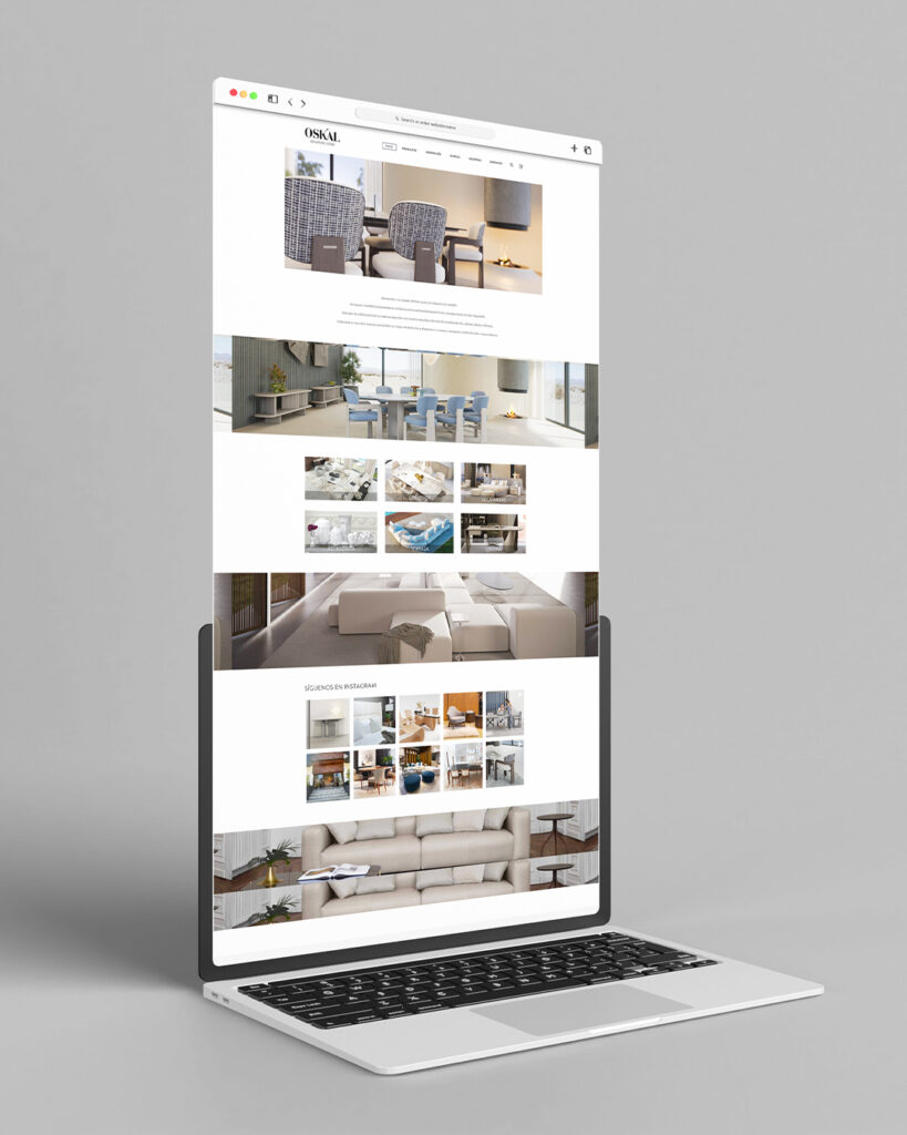 Desarrollo web -clicleads